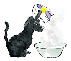 Illustration of Max the Dog dumping a container of flour into a mixing bowl